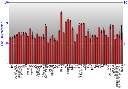 Expression graph