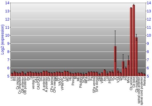 Expression graph