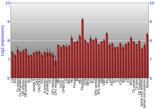 Expression graph