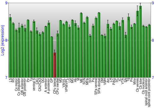 Multi-state expression graph