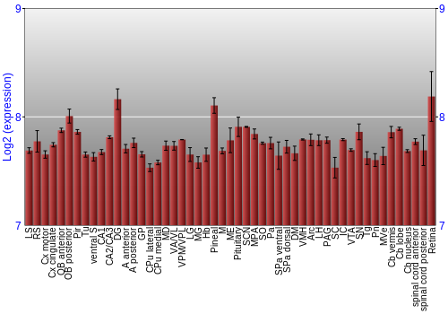 Expression graph