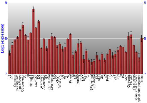 Expression graph