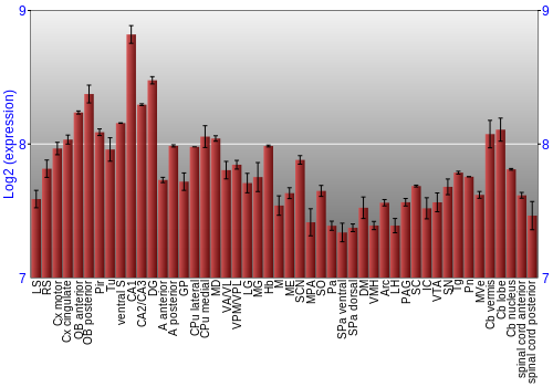 Multi-state expression graph