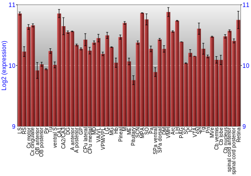 Expression graph