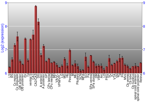 Expression graph