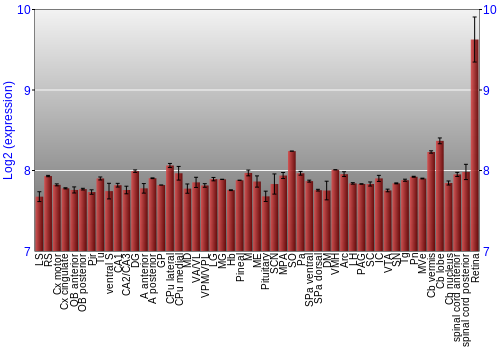 Expression graph
