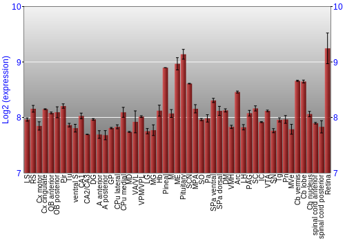 Expression graph