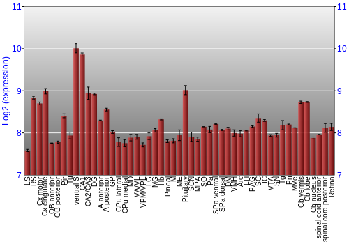 Expression graph