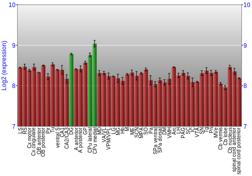 Multi-state expression graph