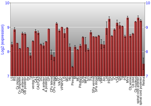 Expression graph