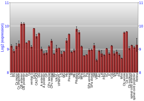 Expression graph
