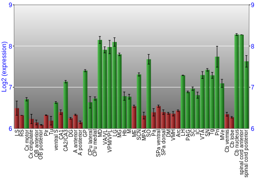 Multi-state expression graph