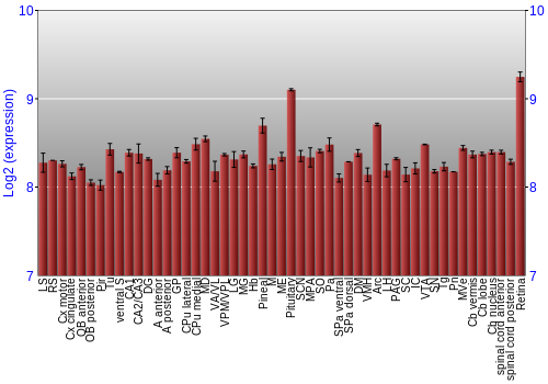 Expression graph