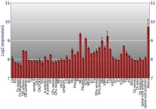 Expression graph