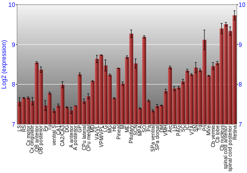 Expression graph
