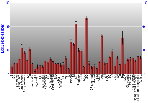 Expression graph