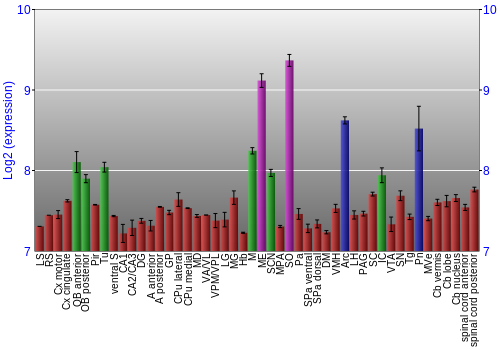 Multi-state expression graph