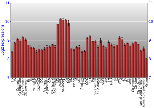 Expression graph