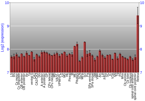 Expression graph