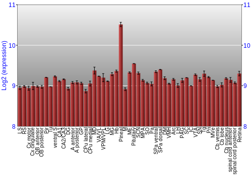 Expression graph