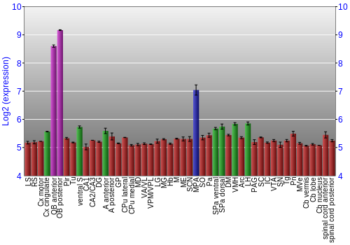 Multi-state expression graph