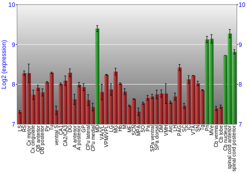 Multi-state expression graph