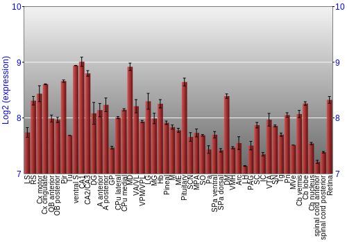 Expression graph