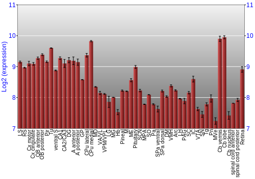 Expression graph