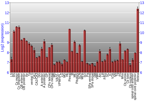 Expression graph