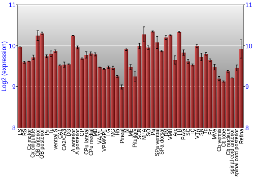 Expression graph