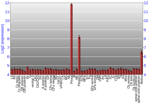 Expression graph