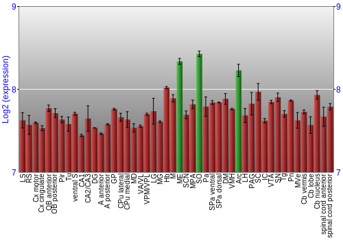 Multi-state expression graph