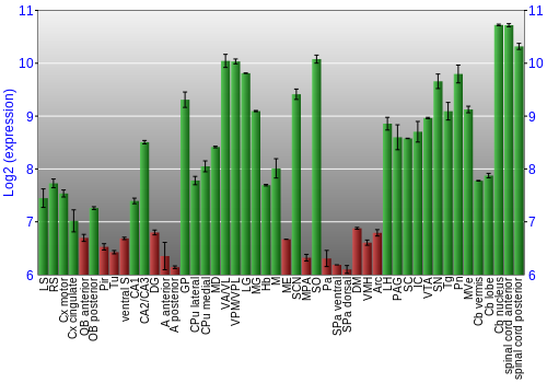 Multi-state expression graph