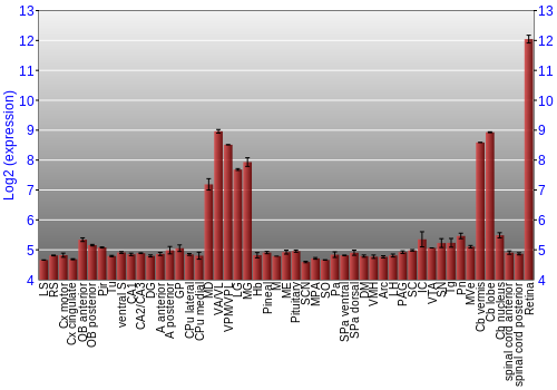 Expression graph