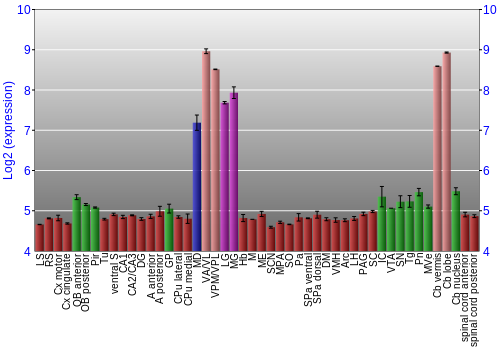 Multi-state expression graph