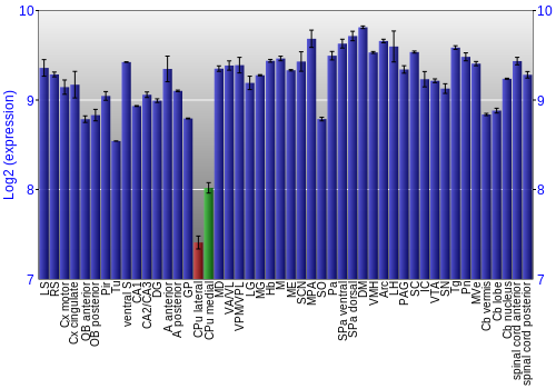 Multi-state expression graph