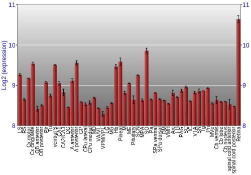 Expression graph