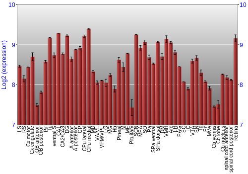 Expression graph