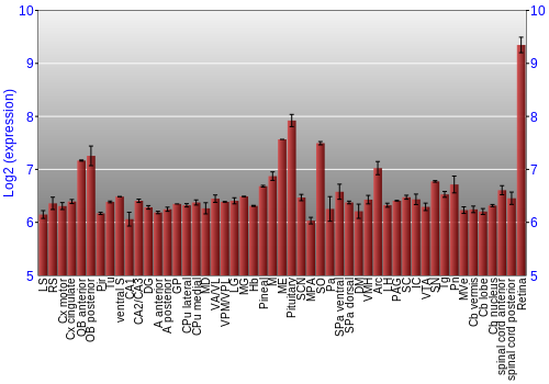 Expression graph