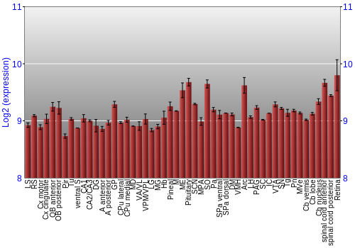 Expression graph