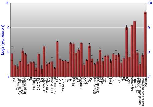 Expression graph