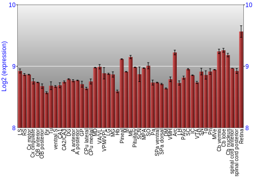 Expression graph