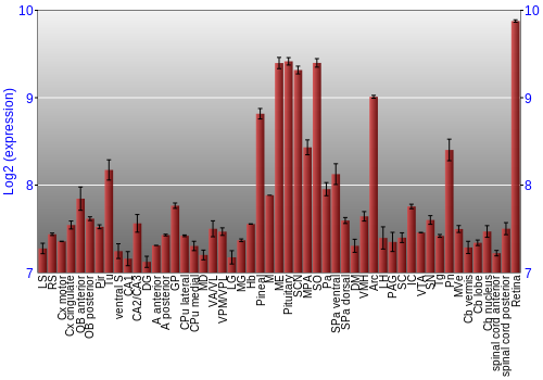 Expression graph