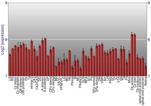 Expression graph