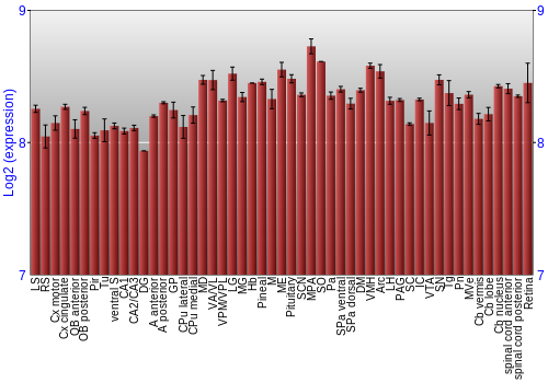 Expression graph
