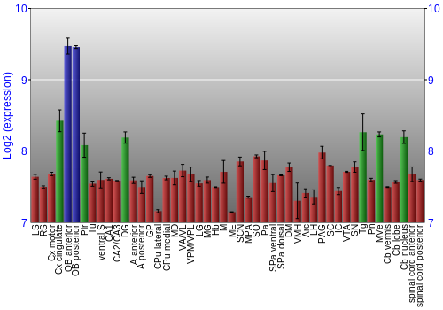 Multi-state expression graph