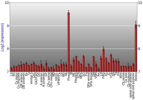 Expression graph