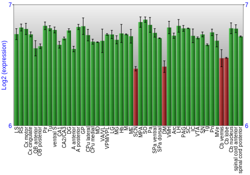 Multi-state expression graph
