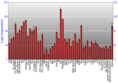 Expression graph