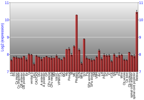 Expression graph